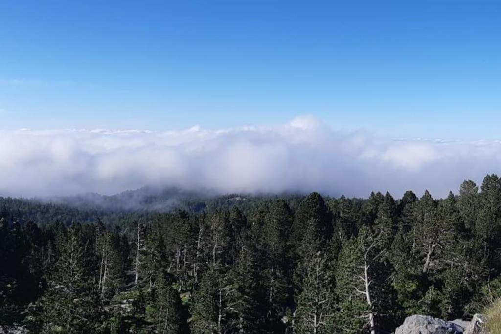Studio La Pierre Saint Martin Refait Au Gout Du Jour Vue Sur La Vallee Extérieur photo